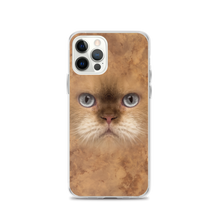 iPhone 12 Pro British Cat iPhone Case by Design Express