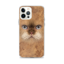 iPhone 12 Pro Max British Cat iPhone Case by Design Express