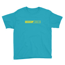 Caribbean Blue / XS I Reached lLevel 13 Loading Youth Short Sleeve T-Shirt by Design Express