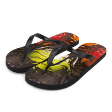 S Abstract 02 Flip-Flops by Design Express