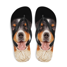 Bernese Montain Dog Flip-Flops by Design Express