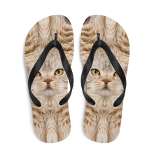 Scottish Fold Cat "Hazel" Flip-Flops by Design Express