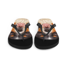 Bernese Montain Dog Flip-Flops by Design Express