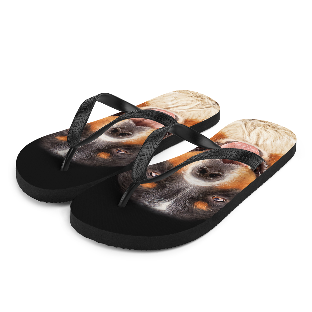 S Bernese Montain Dog Flip-Flops by Design Express