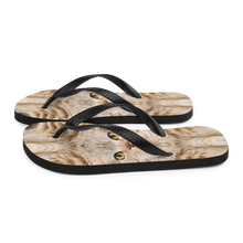 Scottish Fold Cat "Hazel" Flip-Flops by Design Express