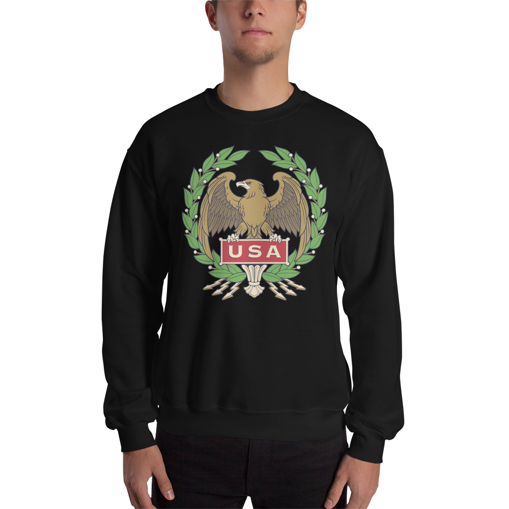 Black / S USA Eagle Unisex Sweatshirt by Design Express